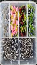 Load image into Gallery viewer, Cam's All Day Fishermen Stinger Shad Assortment Package