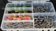 Load image into Gallery viewer, Cam's All Day Fishermen Stinger Shad Assortment Package