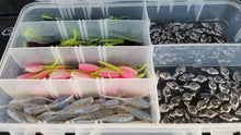 Load image into Gallery viewer, Cam's All Day Fishermen Stinger Shad Assortment Package