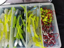 Load image into Gallery viewer, Cam's Clear Water Stinger Shad Kit (Exclusive Cam's Crappie Hole)