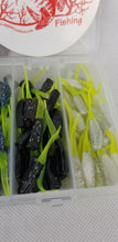 Load image into Gallery viewer, 2024 New Cam&#39;s Complete All Plastic Stinger Shad [Hologram Flake] Assortment Package Kit
