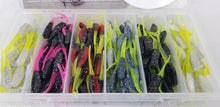 Load image into Gallery viewer, 2024 New Cam&#39;s Complete All Plastic Stinger Shad [Hologram Flake] Assortment Package Kit
