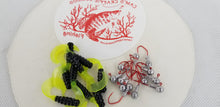 Load image into Gallery viewer, 2023 Cams Hooks &amp; Plastics 80 Piece Set 1/16 Round Head Red #2 + Black &amp; Chartreuse Curly Tail
